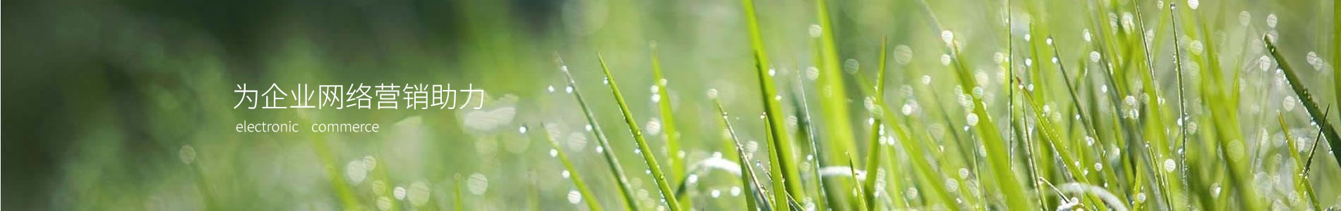 Զҵ޹˾